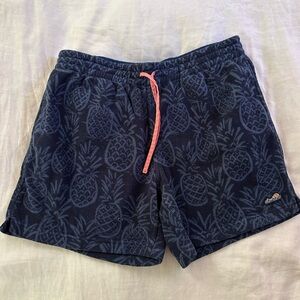 Chubbies fleece shorts